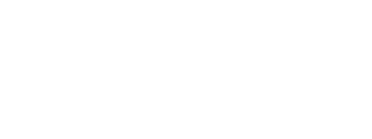 Promethean Logo Computanet