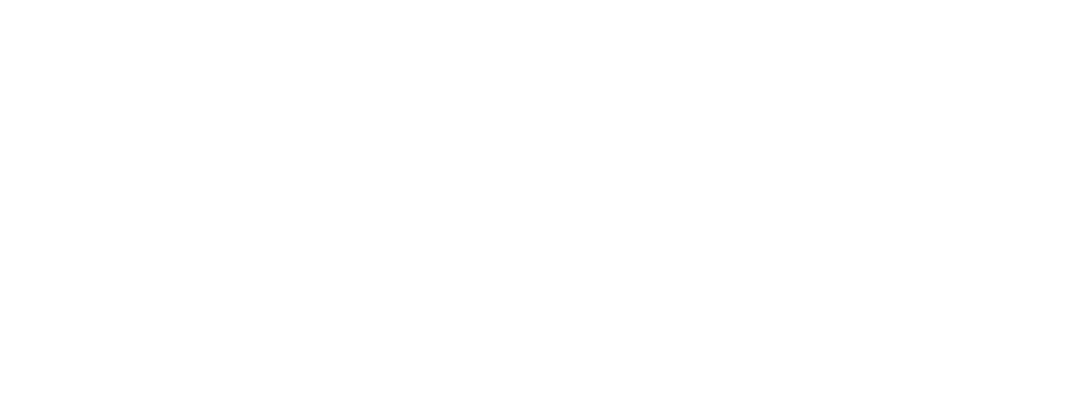 VMware Logo Computanet